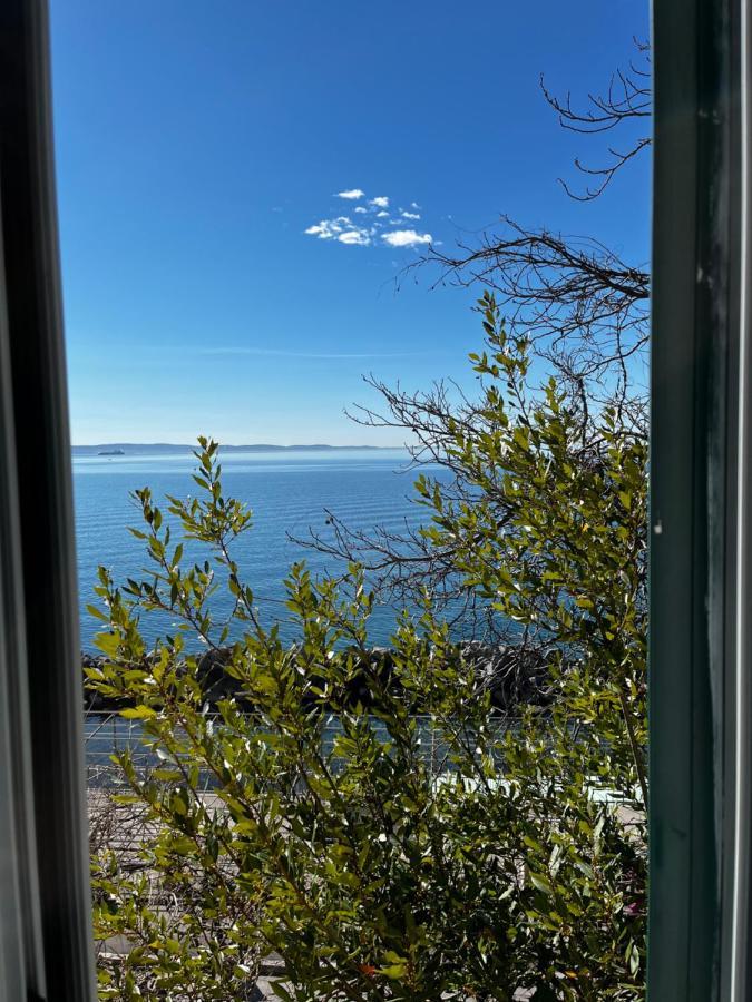 Villa Tergeste Trieste Bagian luar foto