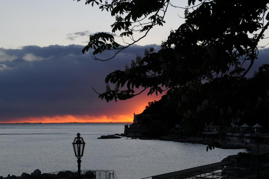 Villa Tergeste Trieste Bagian luar foto