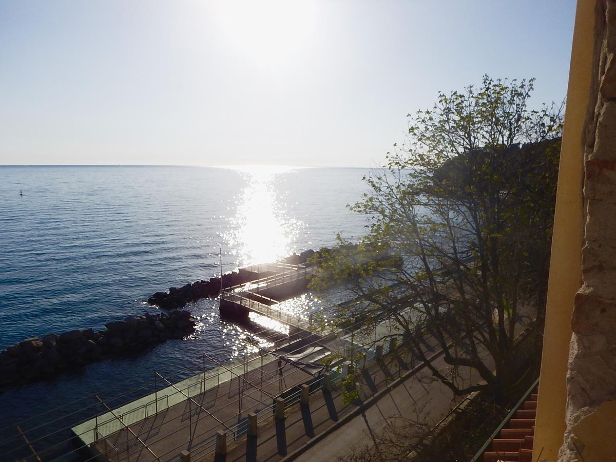 Villa Tergeste Trieste Bagian luar foto